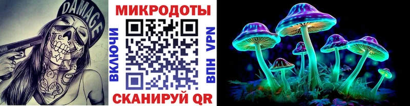 Псилоцибиновые грибы Cubensis как найти закладки Вяземский